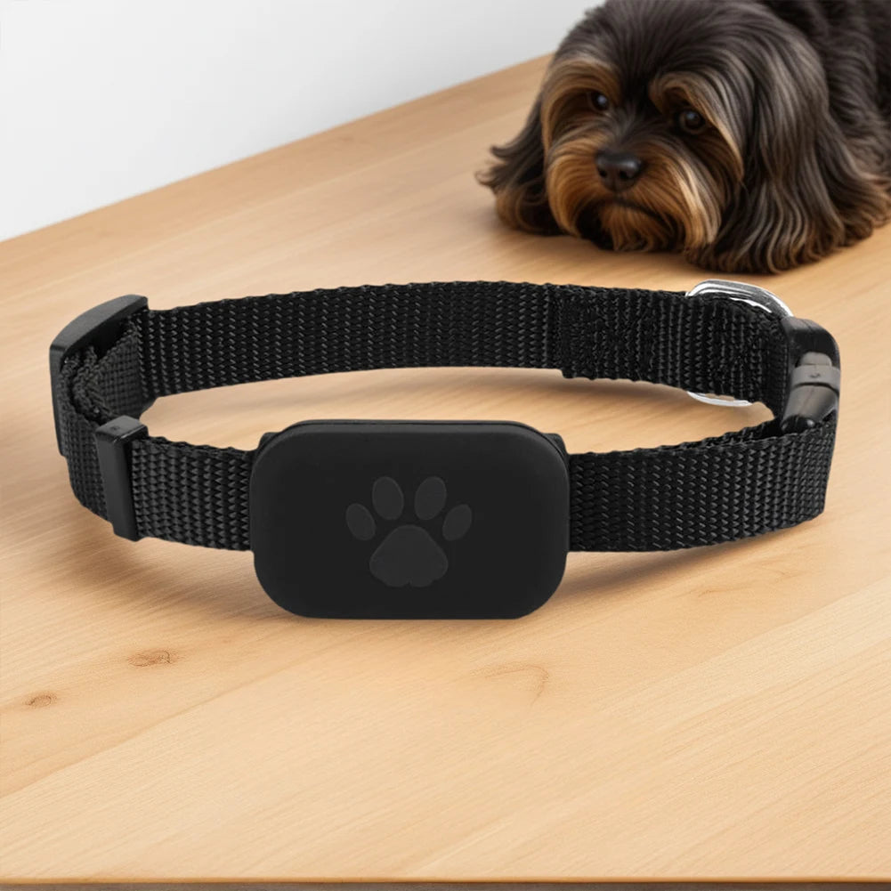 Everyday Smart Cat Locator Collar with GPS Anti-Loss Tracker - Adjustable Comfort Fit