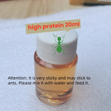 Ant Colony Liquid Food & Feeding Tubes — Anti-Escape Nutrition Kit