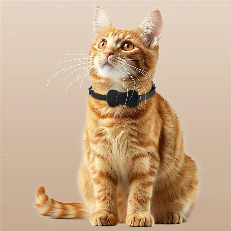B62B Smart GPS Pet Tracker Collar with Waterproof Anti-Loss Positioning - iOS & Android