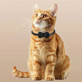 B62B Smart GPS Pet Tracker Collar with Waterproof Anti-Loss Positioning - iOS & Android