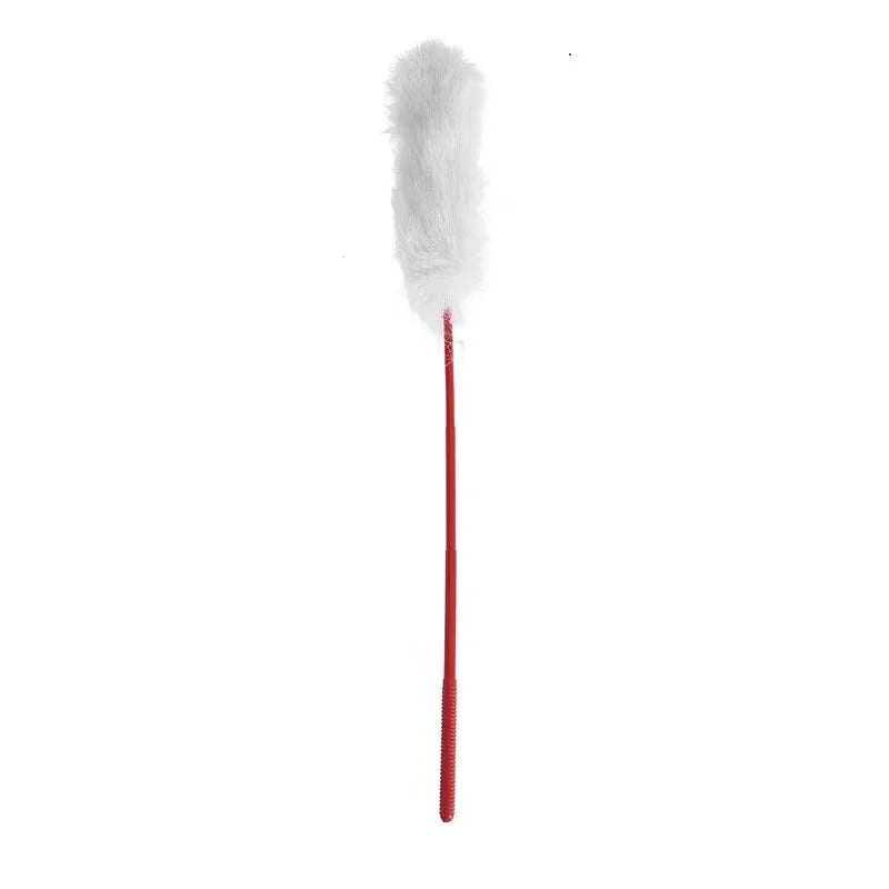 Feather & Bell Collar Teaser Sticks — Self-Play Cat Toy, 10-Pack
