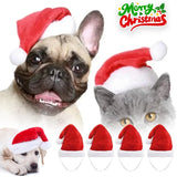 Plush Santa Hat for Dogs (Christmas Costume Accessory)
