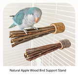Natural Apple Wood Perch — Chew-Safe Branch Stand for Birds & Small Pets