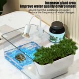 Transparent Plastic Turtle Terrarium & Reptile Breeding Tank