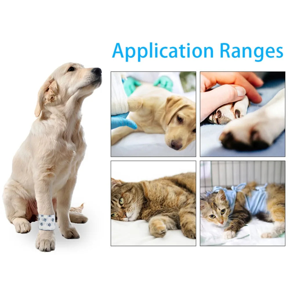 Elastic Self-Adhesive Dog Paw Bandage (Non-Woven, Printed, Stretchy)