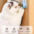 Catnip Ball Cat Treats