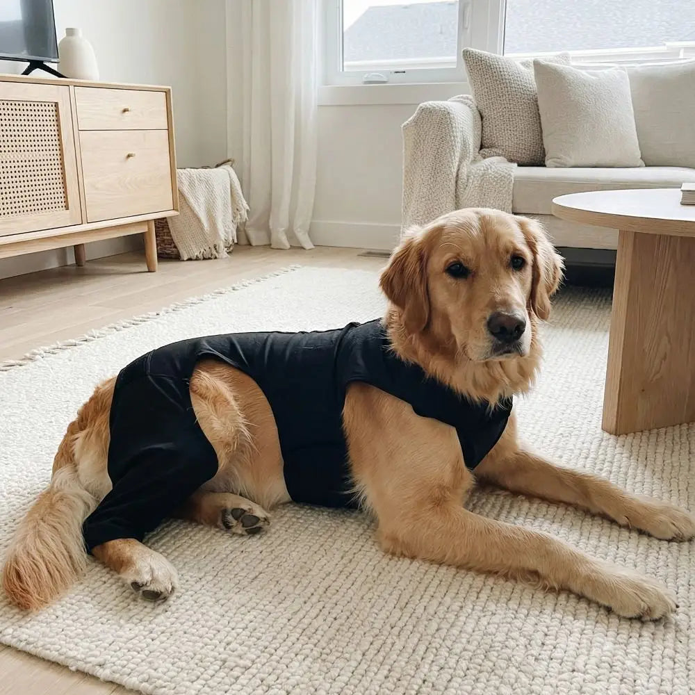 Dog Leg Rehabilitation Suit Anti-Licking (Breathable, Full Coverage)