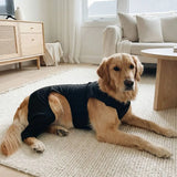 Dog Leg Rehabilitation Suit Anti-Licking (Breathable, Full Coverage)