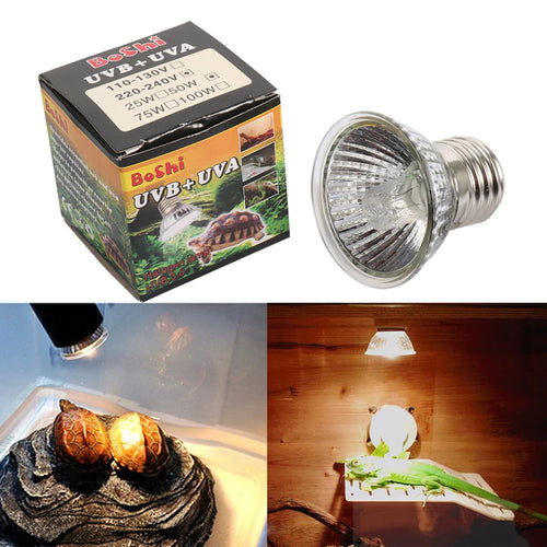 UVA+UVB 3.0 Reptile Basking Bulb — 25W/50W/75W, E27