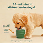 Watermelon Dog Poop Bag Dispenser with Hanging Ring (Portable)