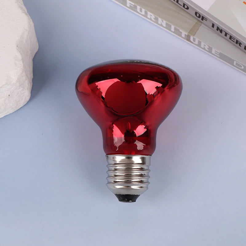 E27 Infrared Basking Bulb — Day & Night Heat Light, 25W–100W
