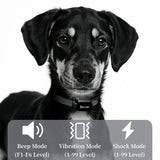 Electric Dog Training Collar (3300ft Remote Control)