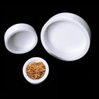 Ceramic Reptile Feeder Bowl — Decorative Food & Water Dish