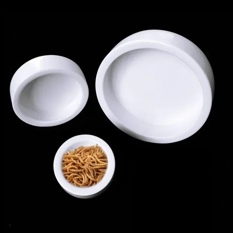 Ceramic Reptile Feeder Bowl — Decorative Food & Water Dish