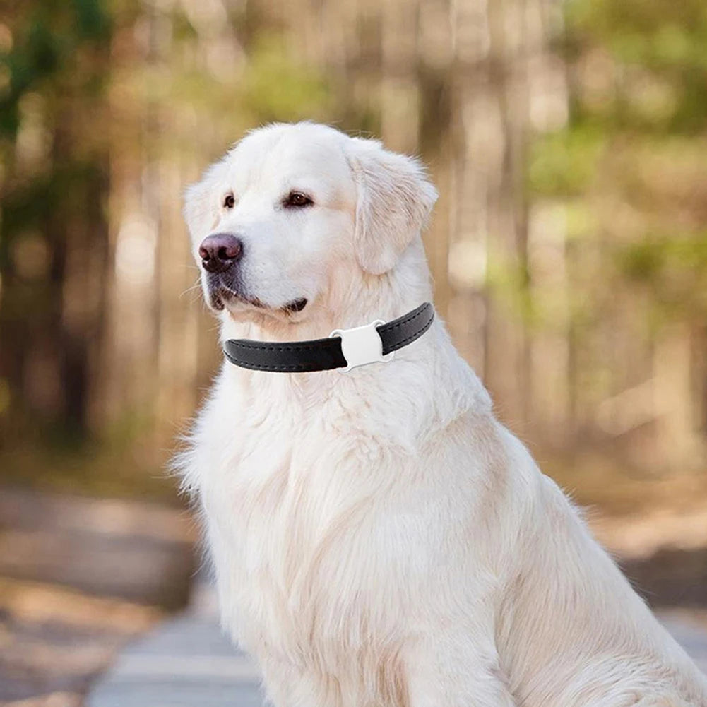 Waterproof Mini GPS Pet Tracker with LED Light Collar for Cats & Dogs