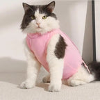 Adjustable Recovery Suit for Cats & Dogs — Anti-Lick Healing Vest