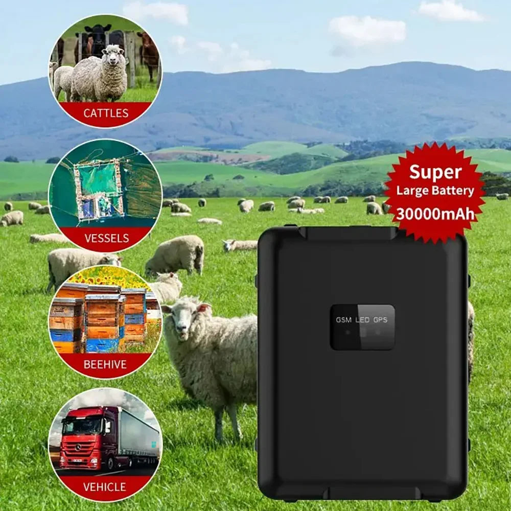 4G GPS Livestock Tracker for Sheep, Cattle & Horses with 20,000mAh Battery