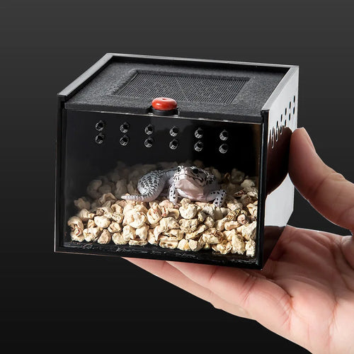 Acrylic Insect Feeding Box — Ventilated Habitat for Spiders & Small Bugs