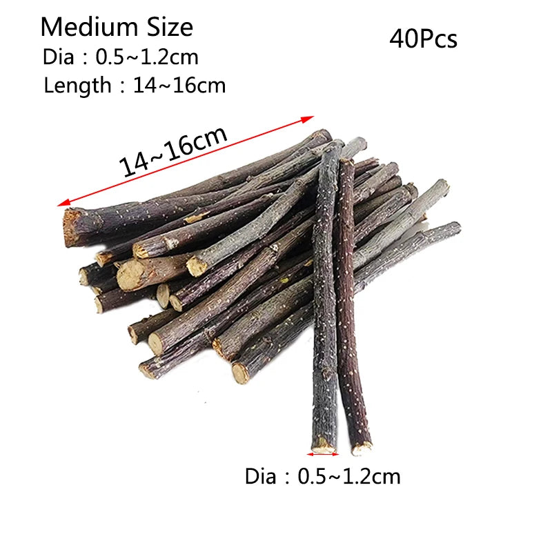 Apple Tree Branch Chew Sticks — Natural Teeth Grinding Sticks for Hamsters & Rabbits