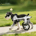 Adjustable Pet Wheelchair Mobility Aid for Disabled Dogs & Cats