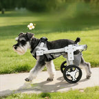 Adjustable Pet Wheelchair Mobility Aid for Disabled Dogs & Cats