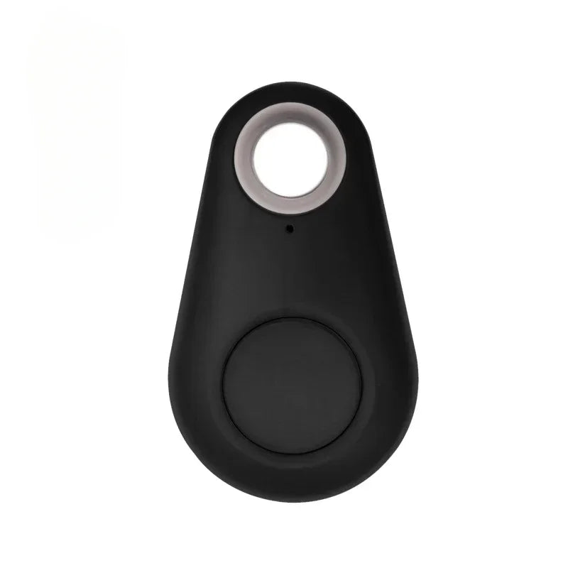 Bluetooth Smart Tag Keychain Tracker - Anti-Loss Finder for Pets & Keys