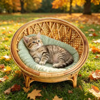Elevated Round Rattan Cat Bed Chair with Photo Prop Design