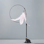 Suction Cup Feather & Bell Cat Teaser
