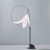 Suction Cup Feather & Bell Cat Teaser