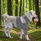 Dog Long-Sleeve Recovery Sleeve (Breathable, Anti-Lick, High Elasticity, Leg)