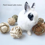 Natural Grass Chew Balls — Braided Teeth-Grinding Toy for Small Pets