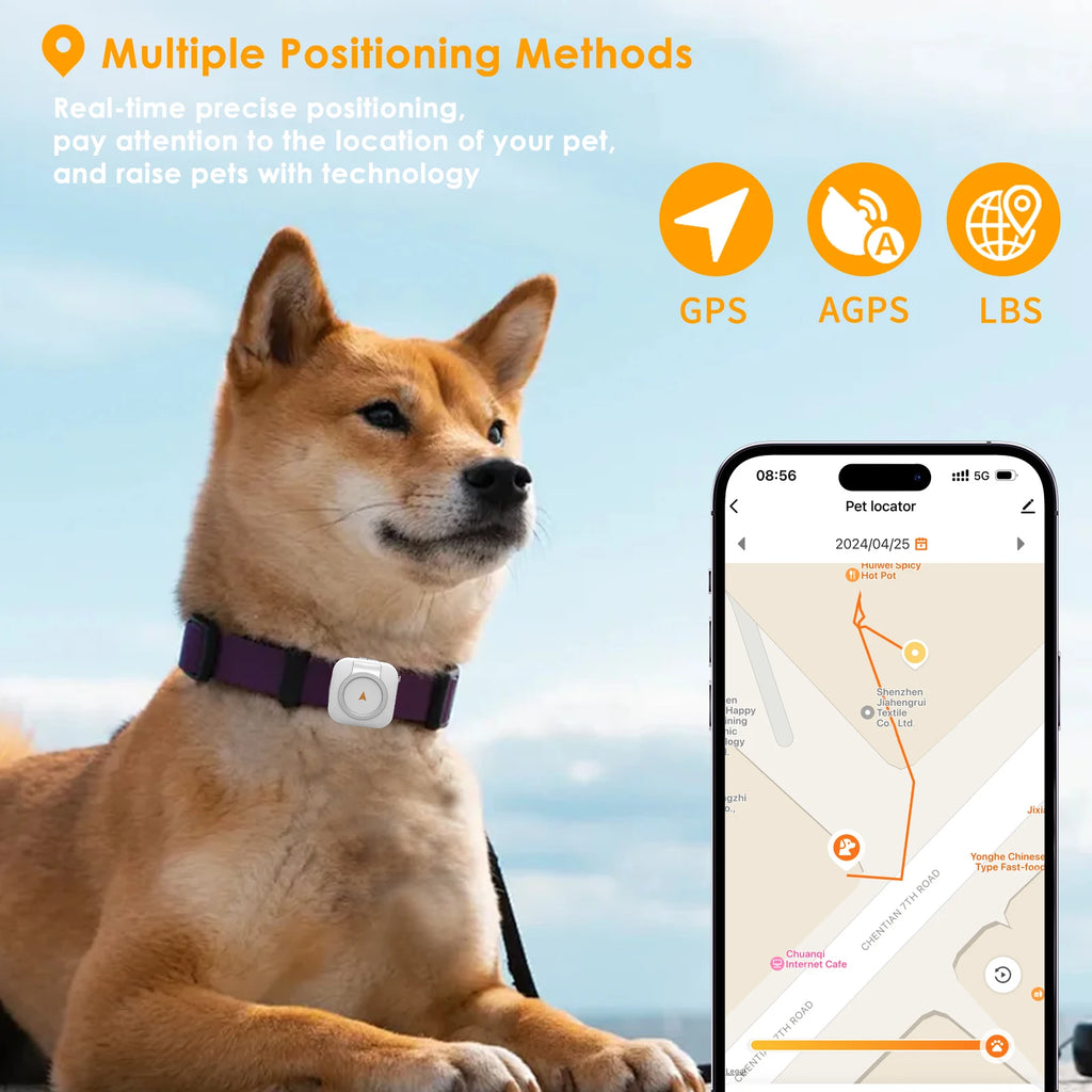 GPS Pet Collar Tracker with Health Monitoring & Step Counter for Dogs & Cats