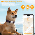 GPS Pet Collar Tracker with Health Monitoring & Step Counter for Dogs & Cats
