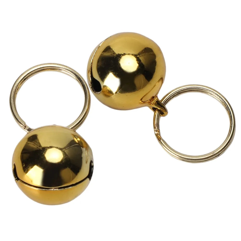 Gold & Silver Pet Collar Charms 2-Pack (Polished, Long-Lasting, Cat & Dog)
