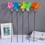 Gradient Feather Cat Teaser Wand — Colorful Interactive Rod Stick (1–50 Pack)