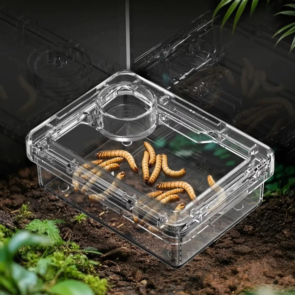 Anti-Overturn Reptile Feeding Bowl — Clear Escape-Proof Insect Dish