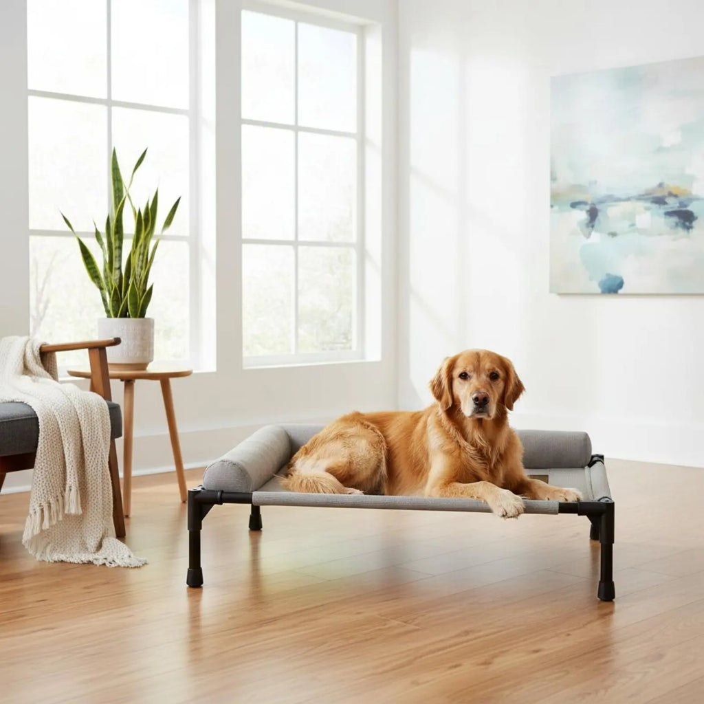 Elevated All-Season Pet Cot with Pillow Support