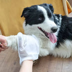 Wash-Free Pet Glove Towels — 6-Pack No-Rinse Deodorizing Wipes