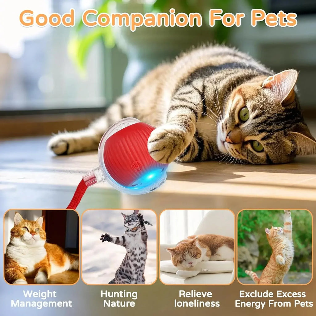 Mouse-Imitating Rolling Ball Cat Toy