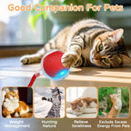 Mouse-Imitating Rolling Ball Cat Toy