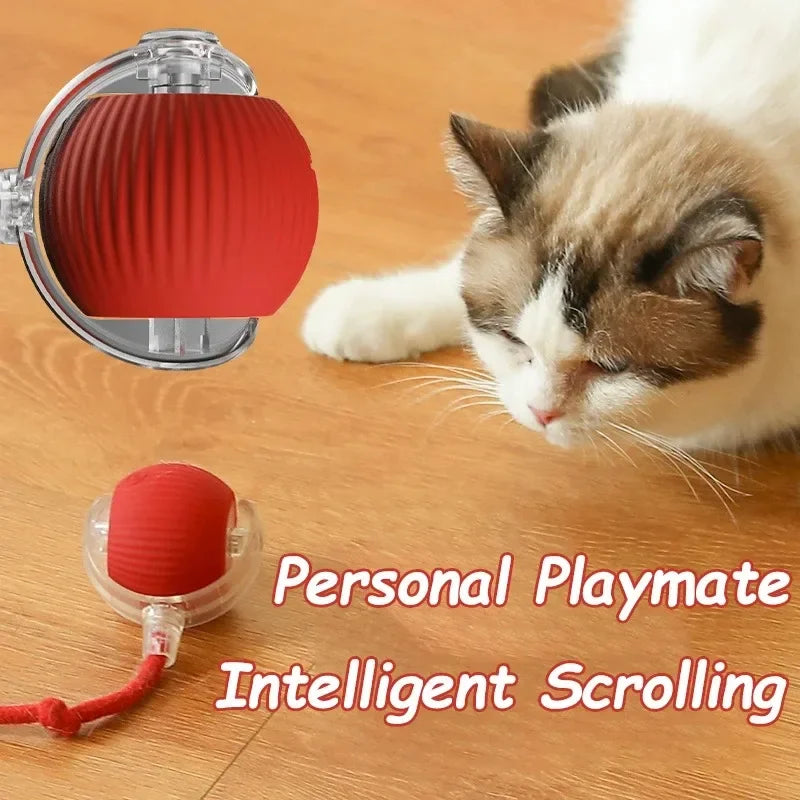 Smart Rolling Ball Toy with Faux Tail — Rechargeable Mouse Mimic