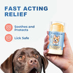 Natural Dog Paw Balm — Lick-Safe Moisturizer for Dry, Cracked Paws, 40g
