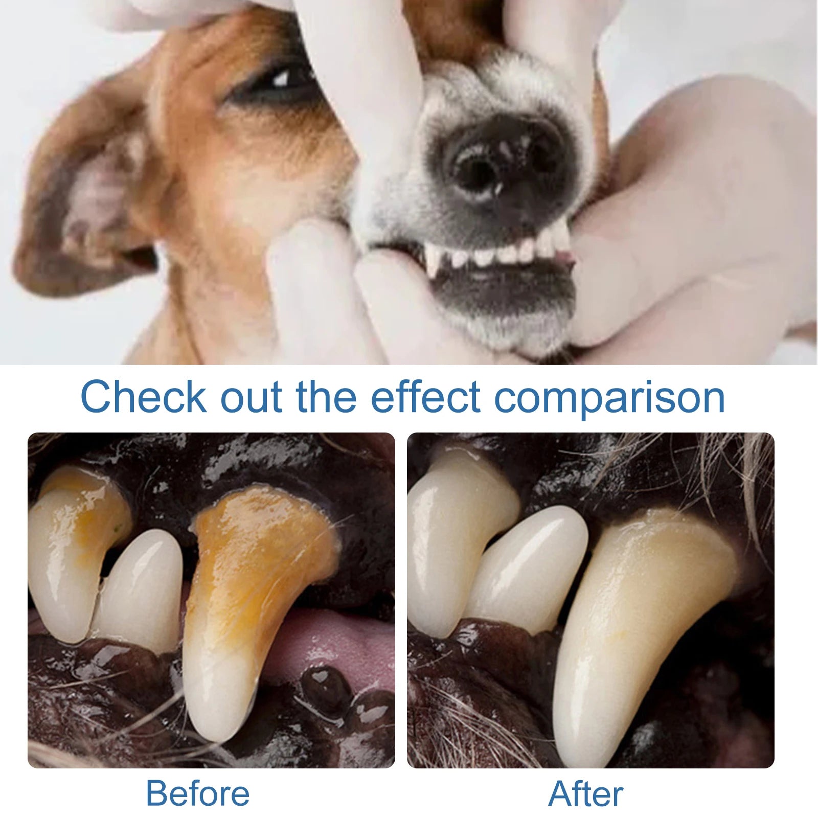 Pet Oral Foam Cleaner — Teeth Whitening & Tartar Remover for Dogs & Cats