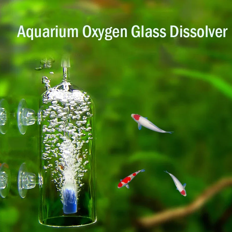 Glass CO2 & Air Diffuser for Aquariums — Fine Bubble