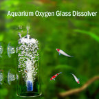 Glass CO2 & Air Diffuser for Aquariums — Fine Bubble