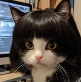 Spoof Wig for Dogs & Cats (Pet Christmas Costume Accessory)
