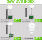 UVB Calcium Supplement Lamp — Energy-Saving E27 Bulb, 5.0 or 10.0