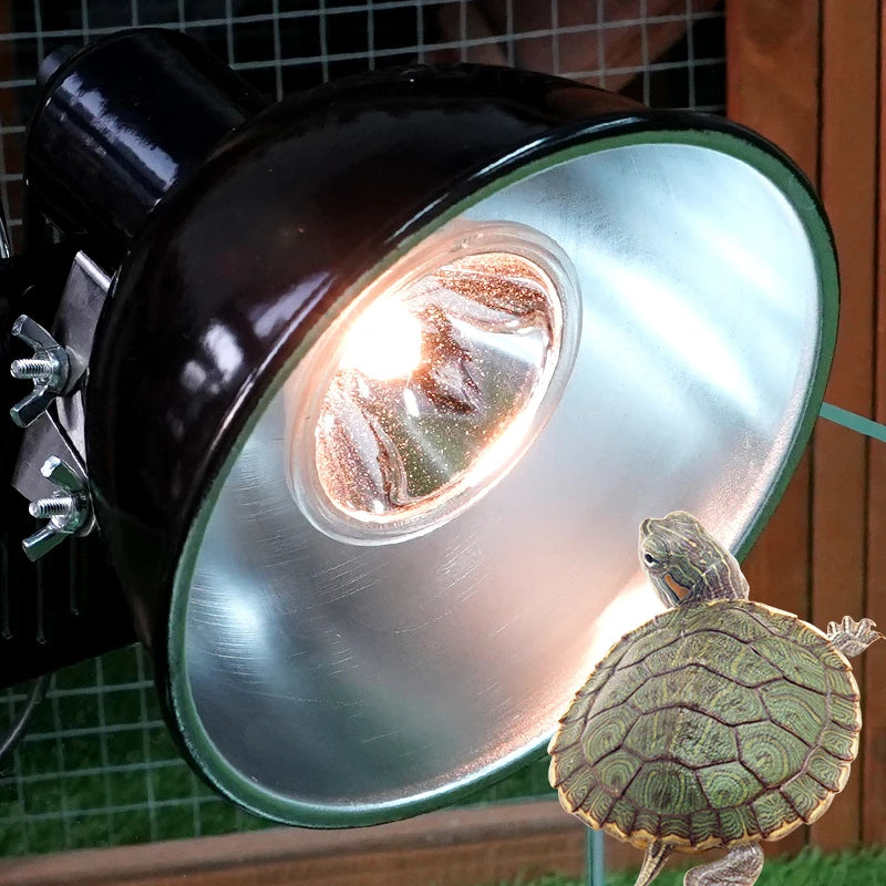 Full Spectrum UVA+UVB 3.0 Reptile Heat Bulb — E27, 25W/50W/75W