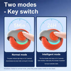 Bouncing Smart Ball Toy for Cats & Dogs
