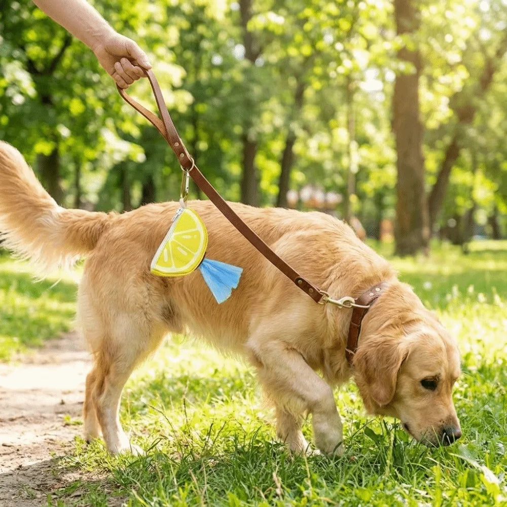 Watermelon Dog Poop Bag Dispenser (Colorful, Hanging Ring)